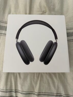 Apple AirPods Max Headphones - Light Gray/Silver